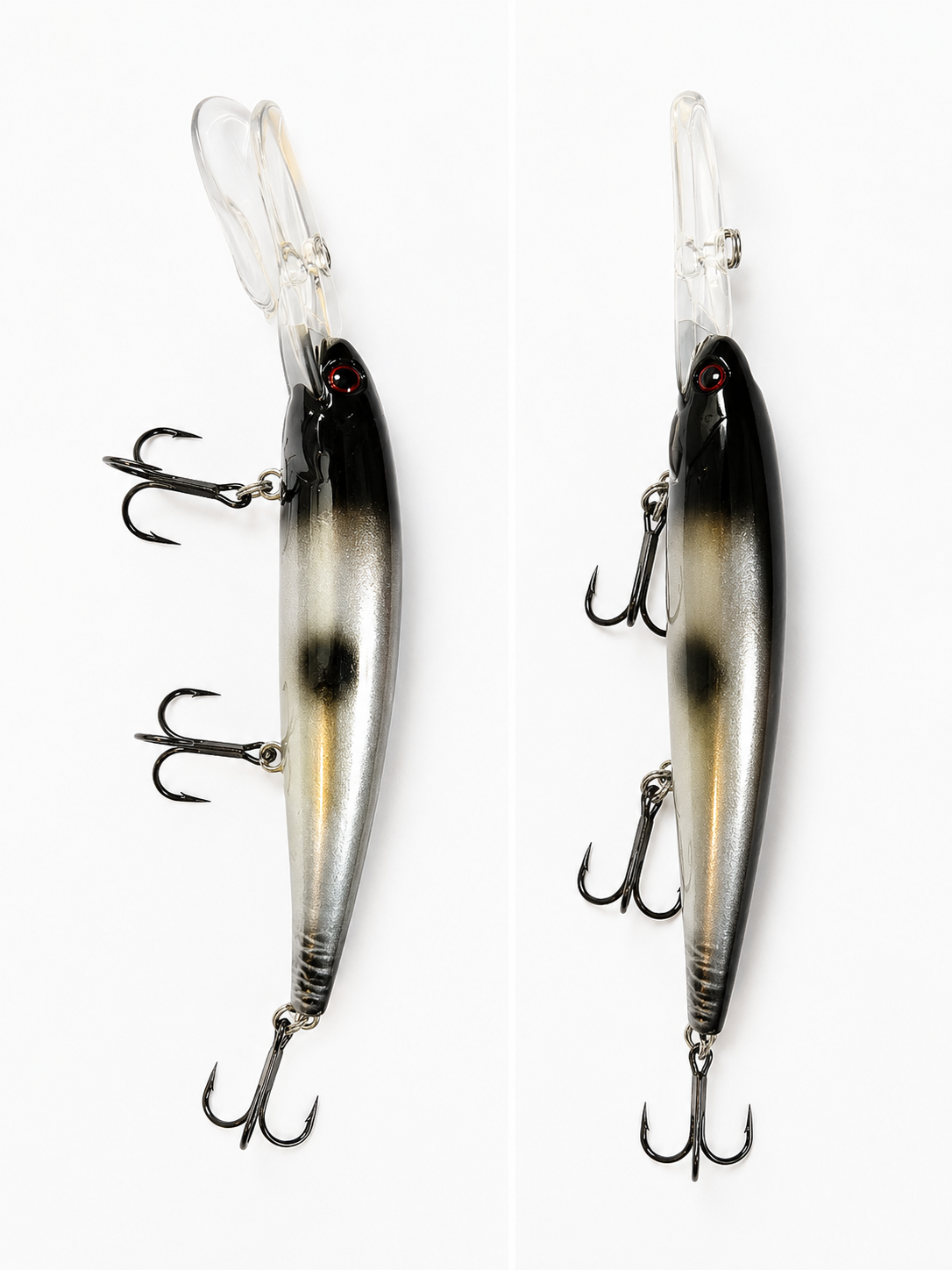 Lake Erie Raider