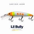 Lil’ Bully Custom Painted Deep Diving Bandit