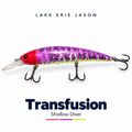 Transfusion Custom Painted Shallow Diver